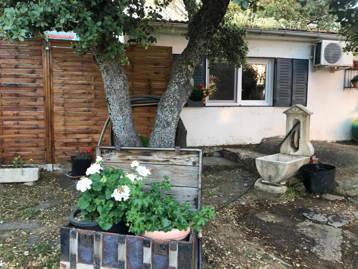 Cabana Jara Y Enebro Collado Villalba Extérieur photo